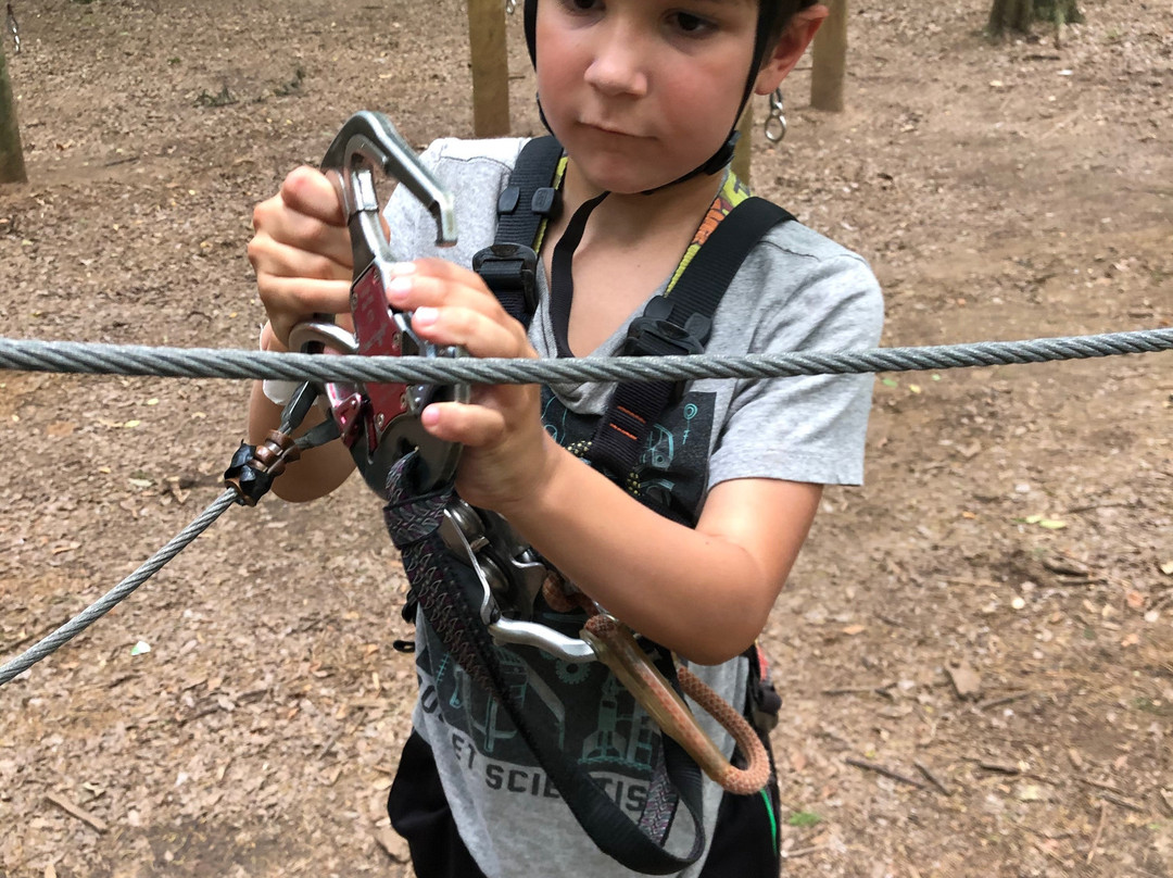 Trinity Forest Adventure Park-达拉斯必去景点