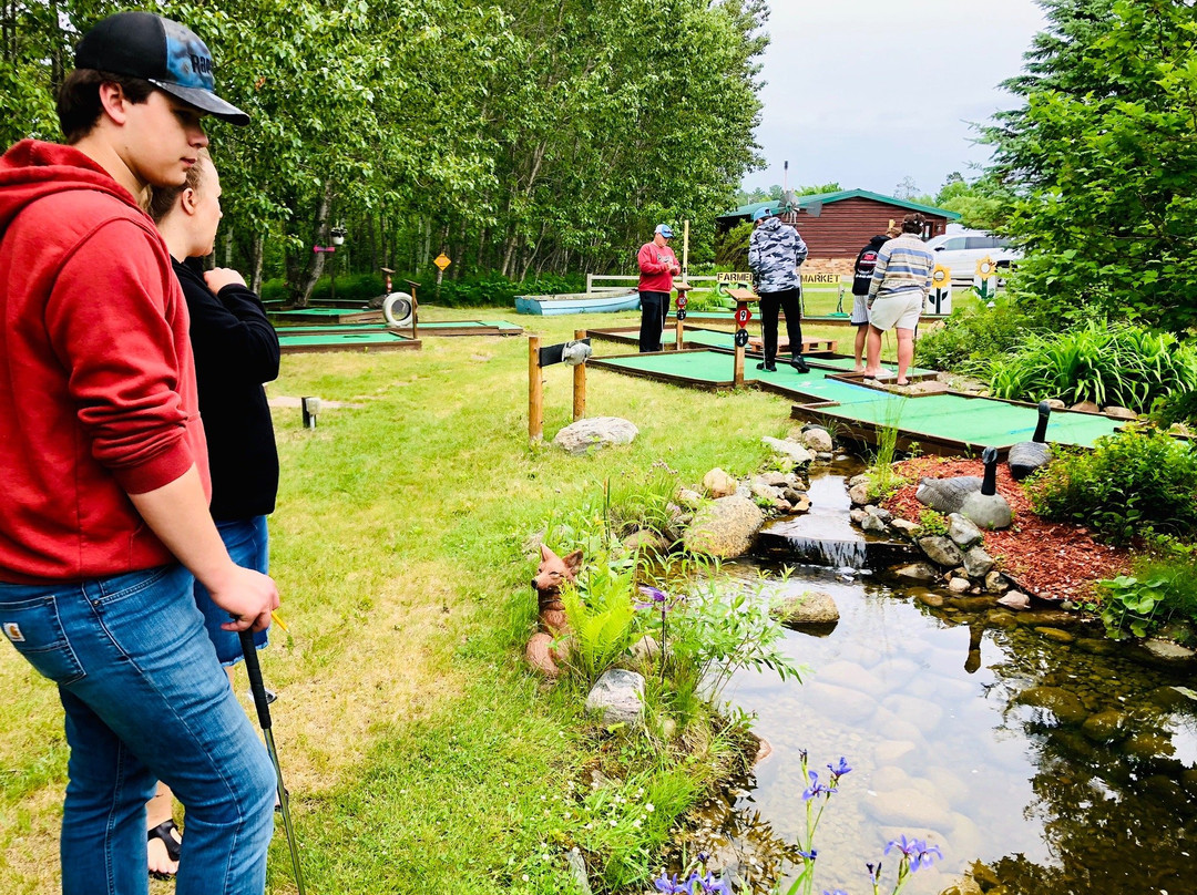 The Woodpile-Longville必去景点