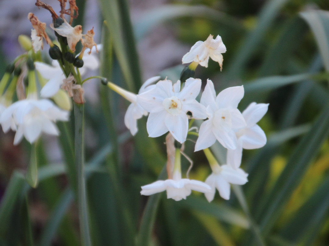 Bethany Manor Bed & Breakfast主图