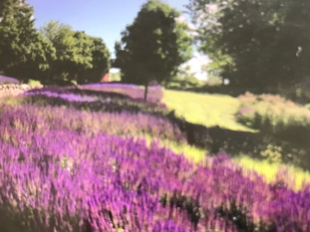 Sommerland Sjælland-Noerre Asmindrup必去景点