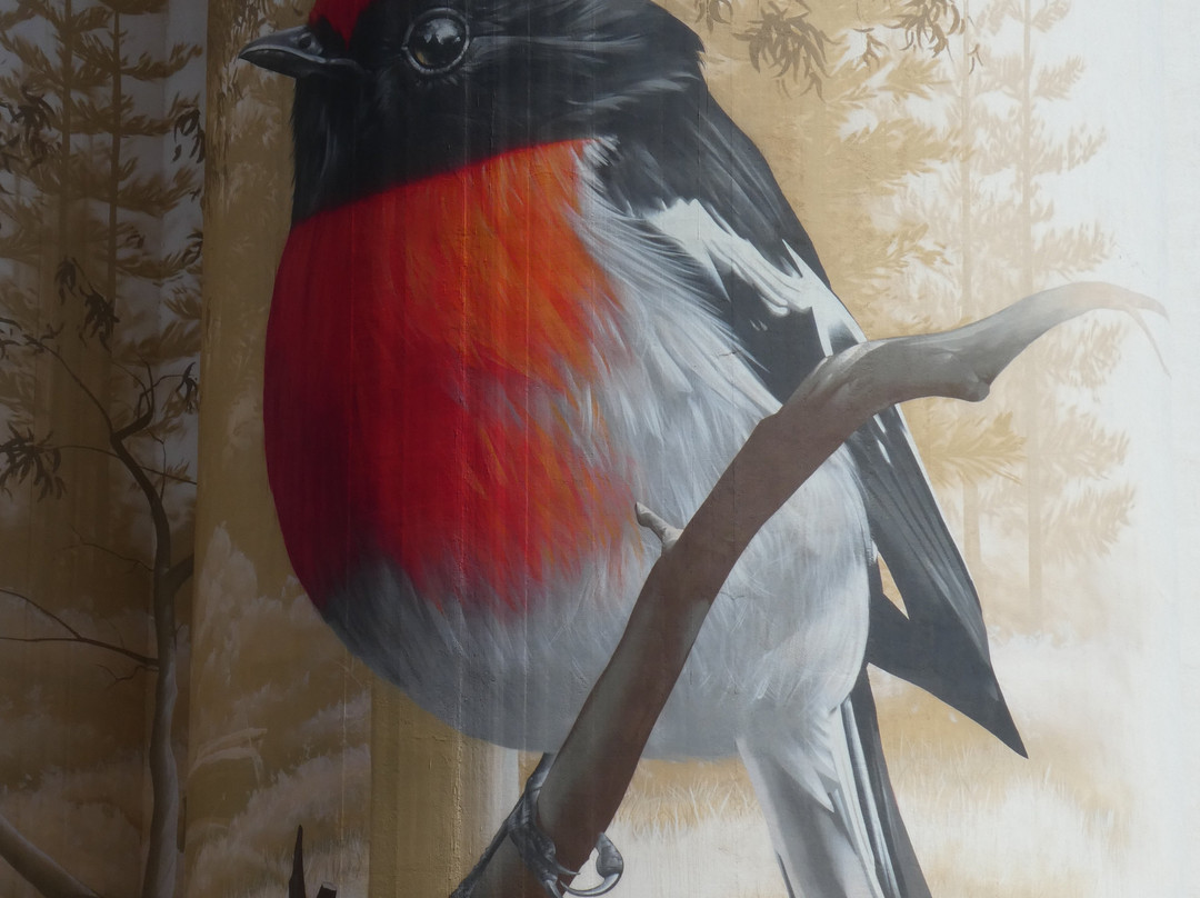 Wirrabara Silo Art景点图片