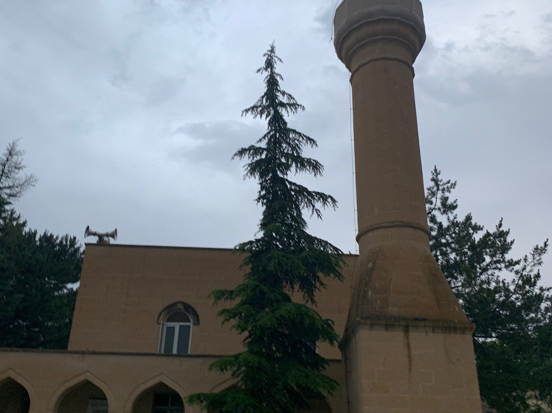 Yunus Emre Turbesi景点图片