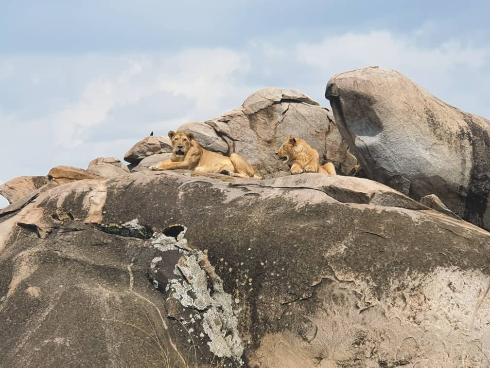 MORANI TOURS & SAFARIS LIMITED-阿鲁沙必去景点