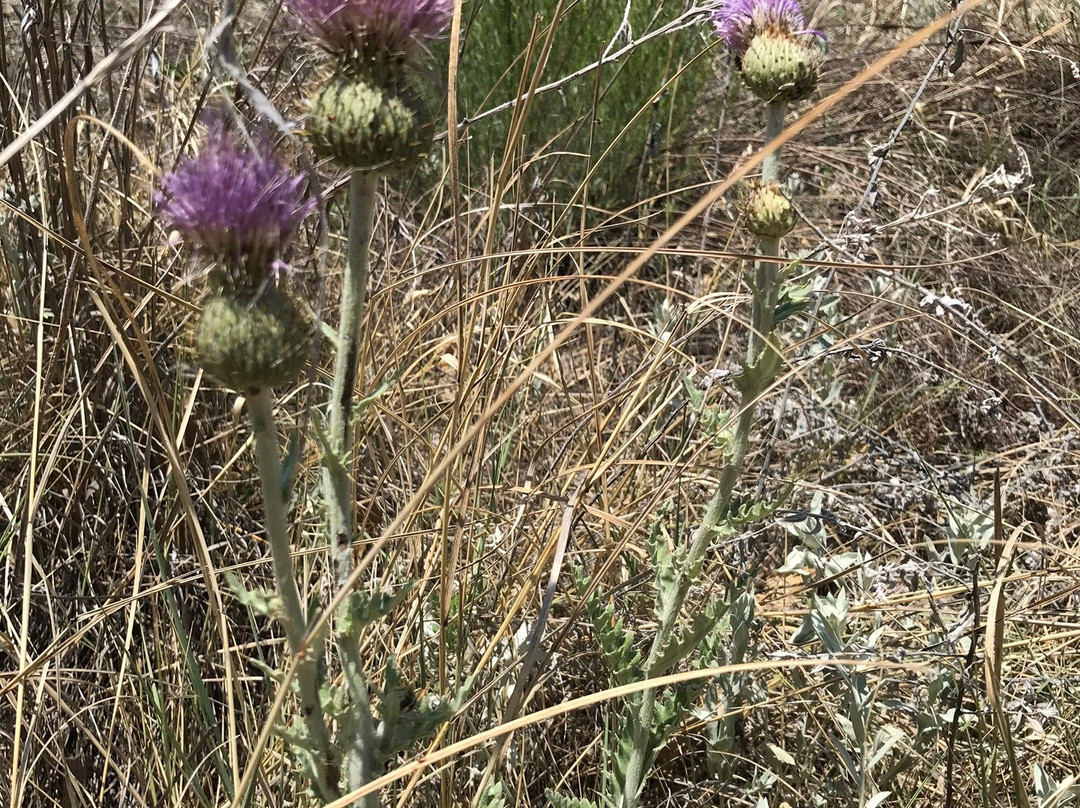 Black Mesa State Park-Kenton必去景点