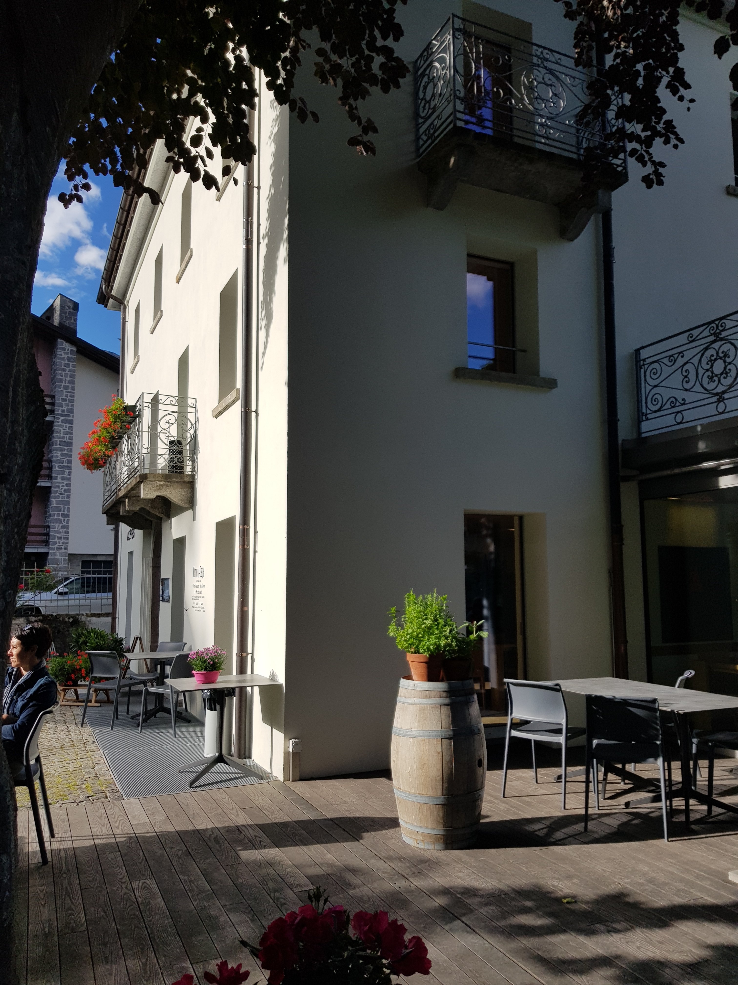Hotel Des Alpes-浴室