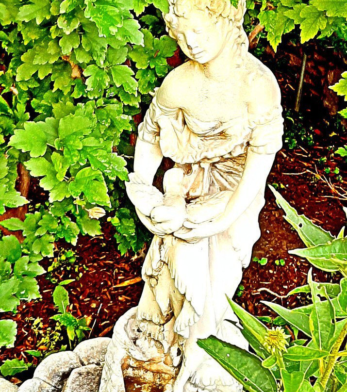 Rosberg House B&B主图