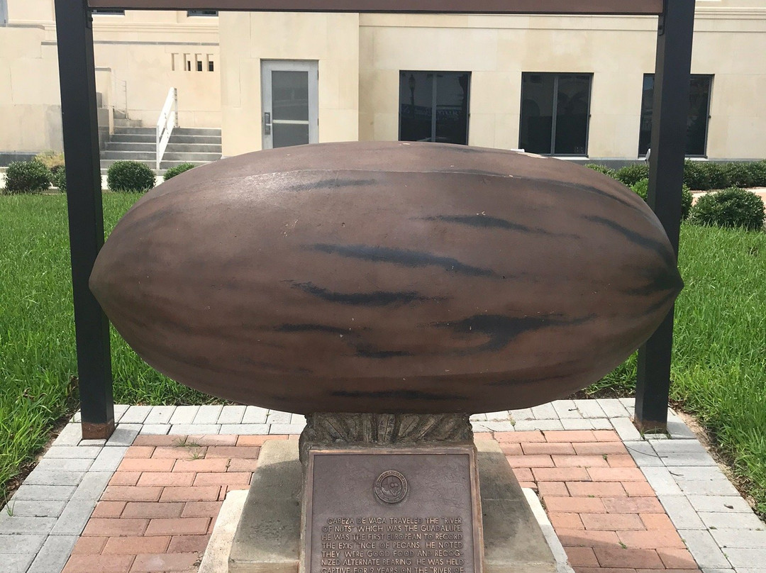 World’s Largest Pecan-塞金必去景点