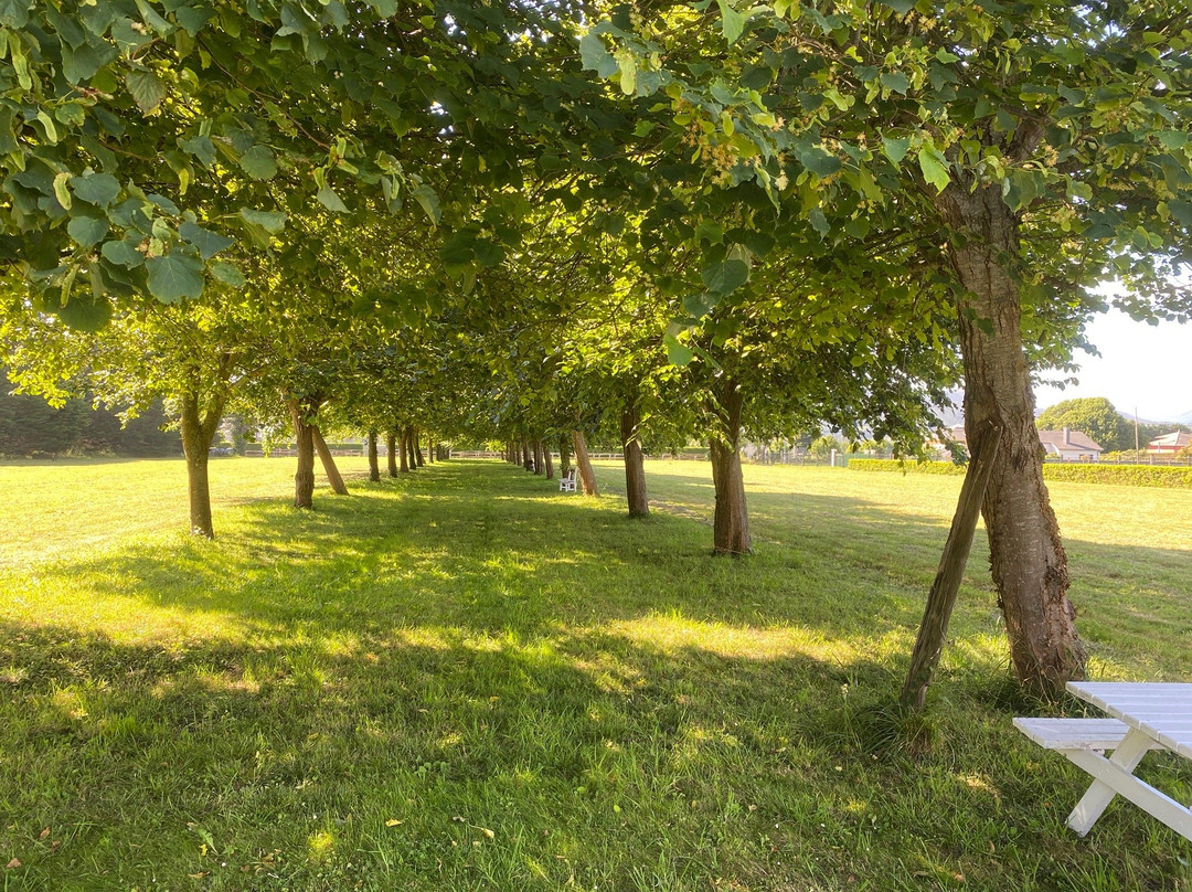 Hotel Casa Peleyon主图