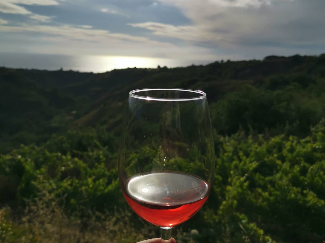 Calabria con Gusto景点图片