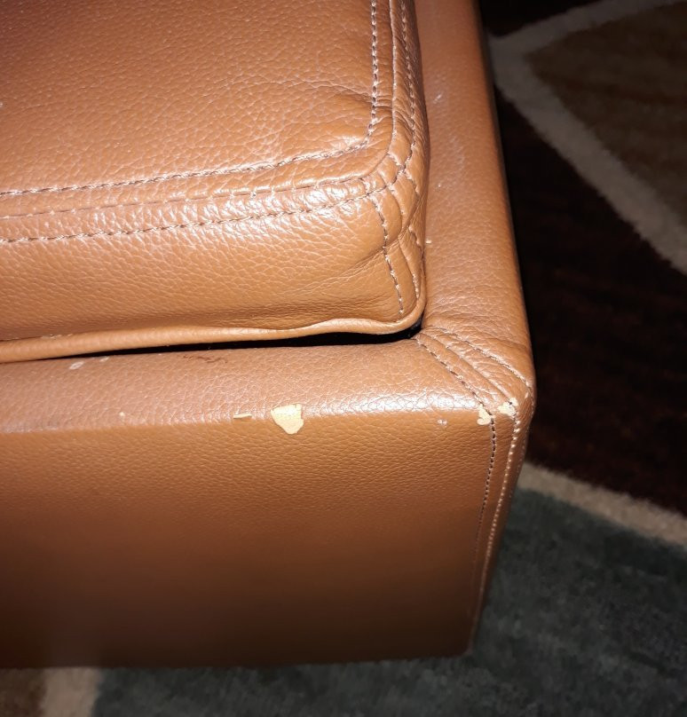 Best Western Inn主图