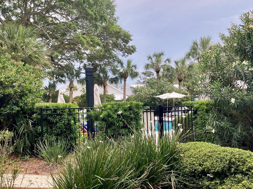 The Beachview Club主图