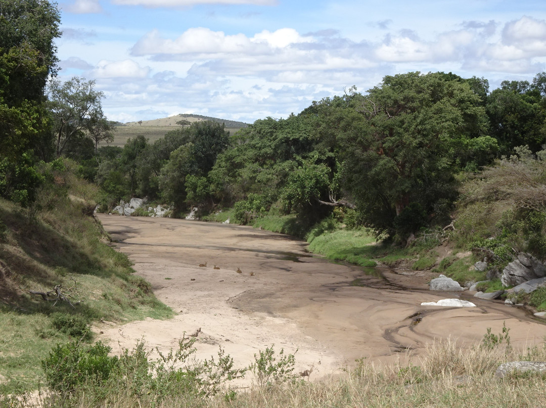 Mara River景点图片