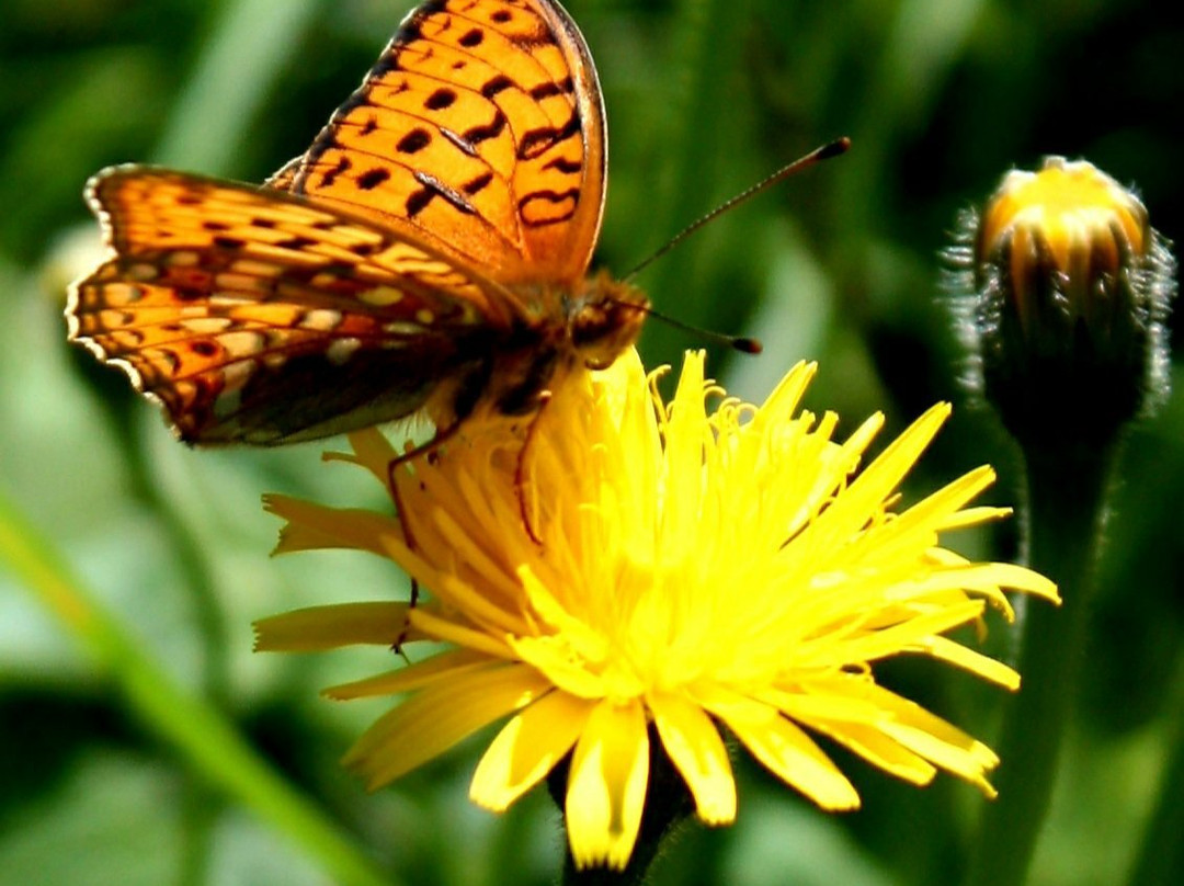 Kupittaa Park-土尔库必去景点