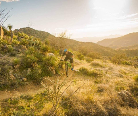 Sightseeing Bike Tours-图森必去景点