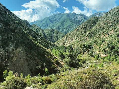 Trail Canyon Falls Trail-洛杉矶必去景点