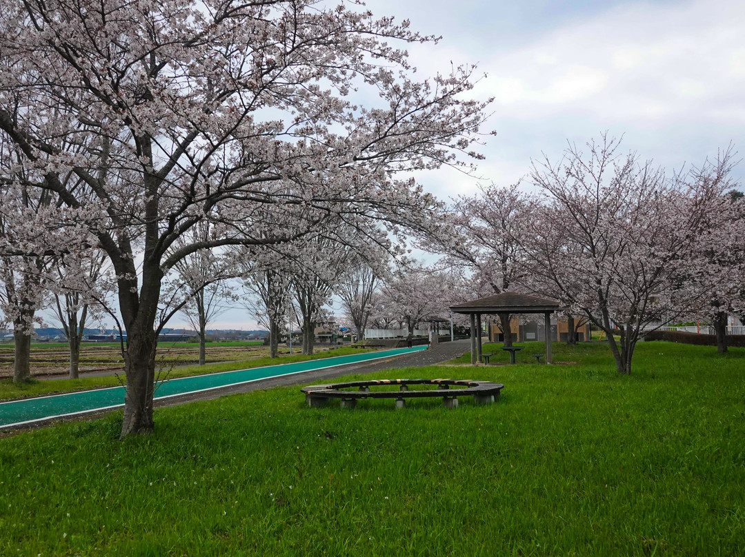 Tsukuba Rinrin Road-樱川市必去景点