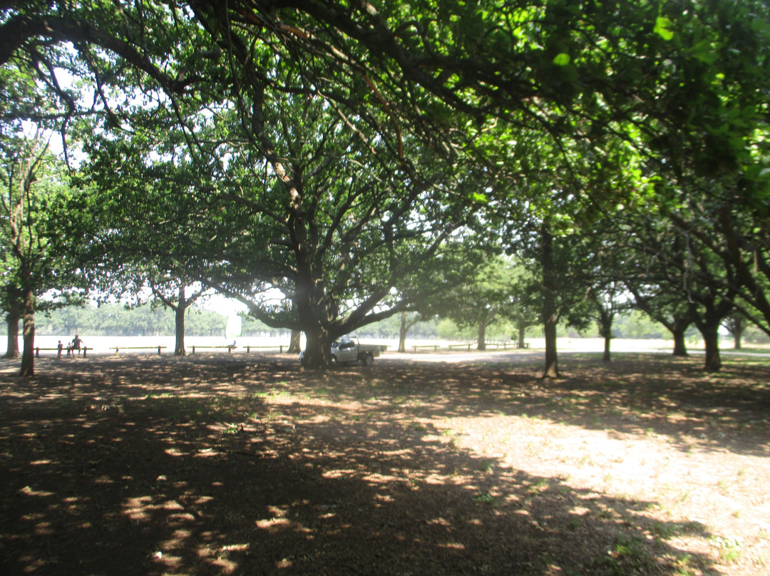 Victoria Park-巴拉瑞特必去景点