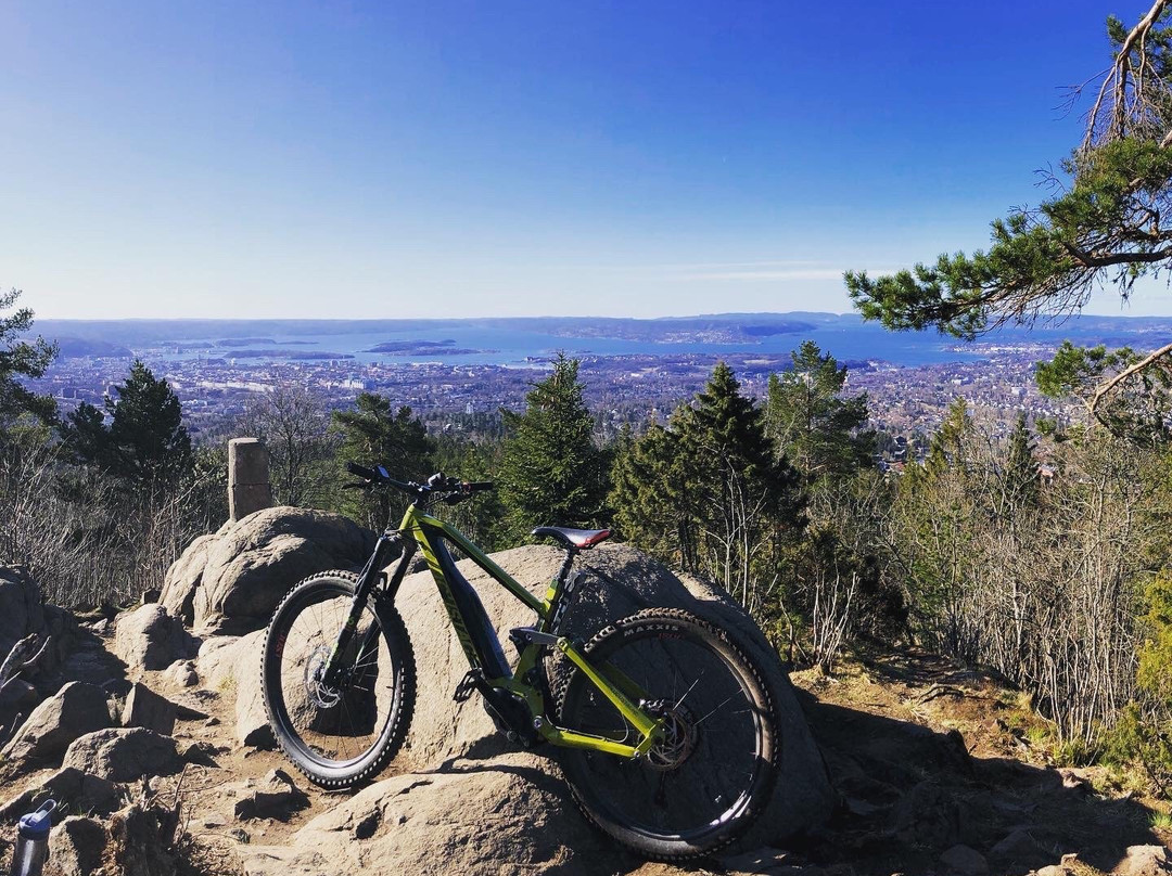 Offroad E-bike Adventure-奥斯陆必去景点