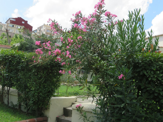 Vlaherna Meryem Ana Church-伊斯坦布尔必去景点