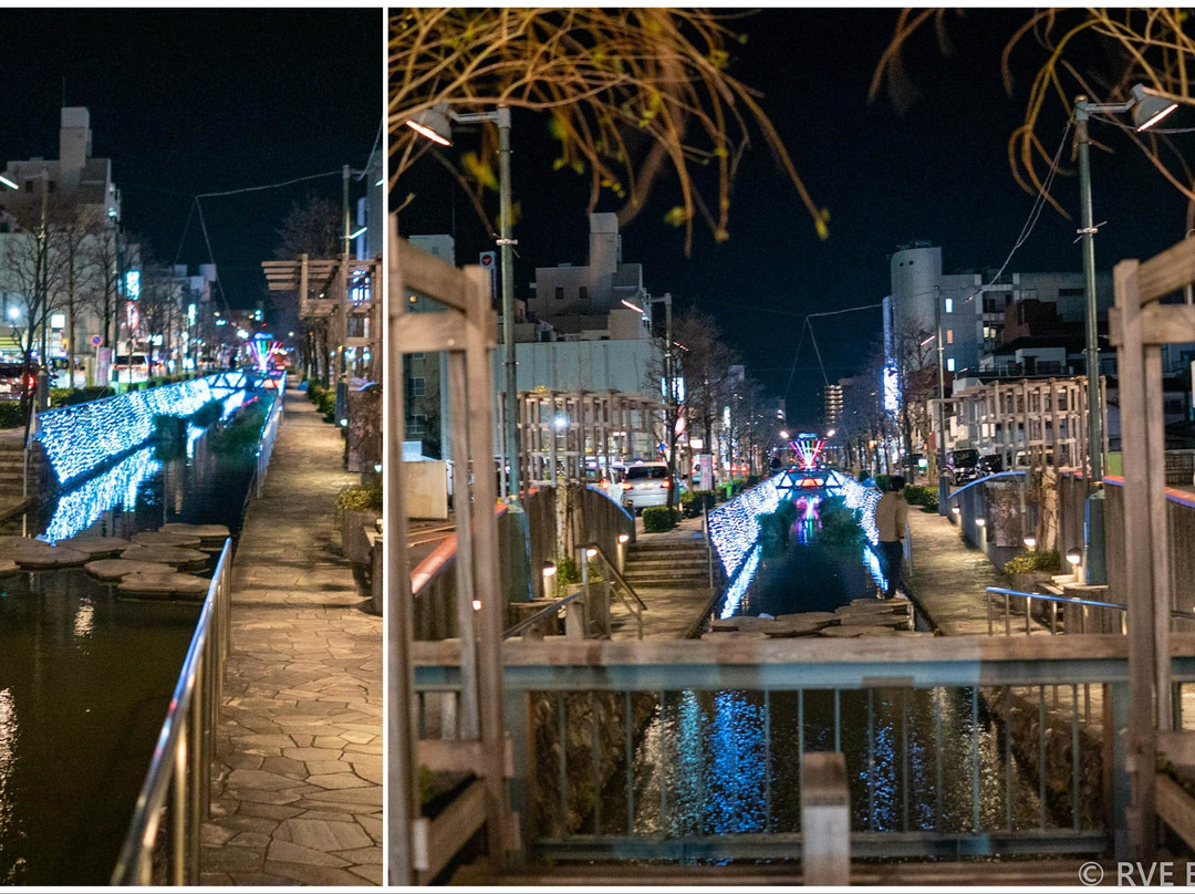 Hoshikawa Symbol Road-熊谷市必去景点