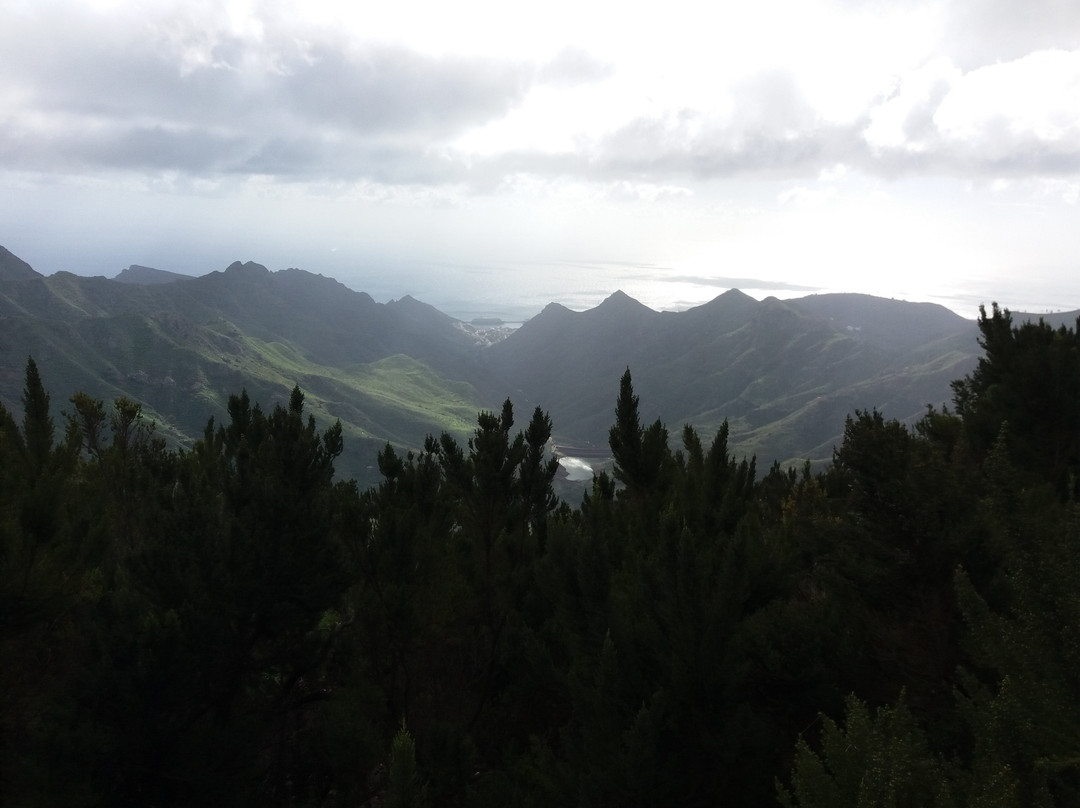 Sendero El Bosque Encantado景点图片