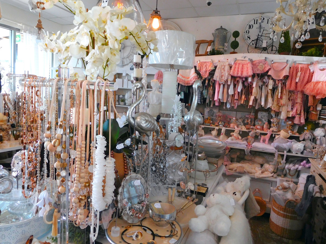 Noosa Marina Sunday Markets景点图片