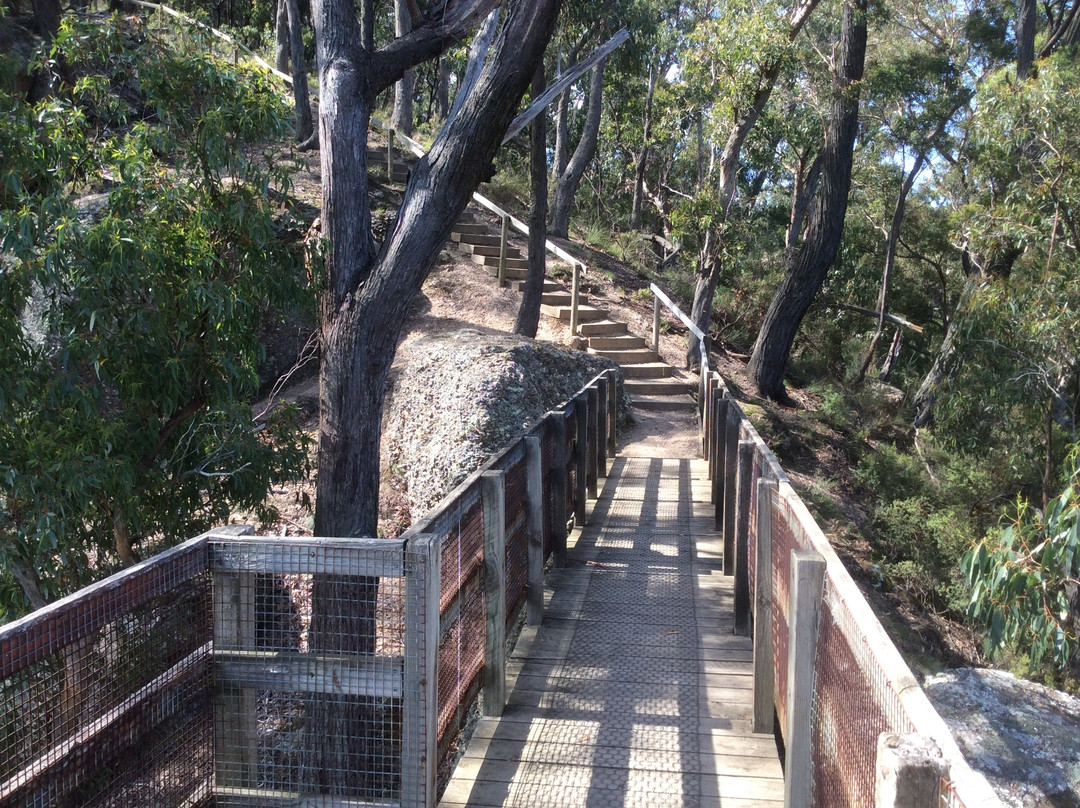 Peterson's Lookout景点图片