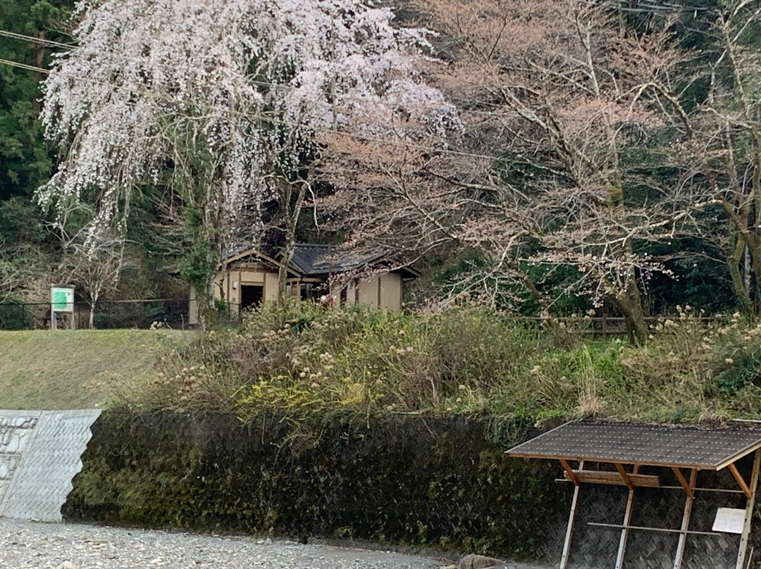 Kawayu Onsen-田边市必去景点