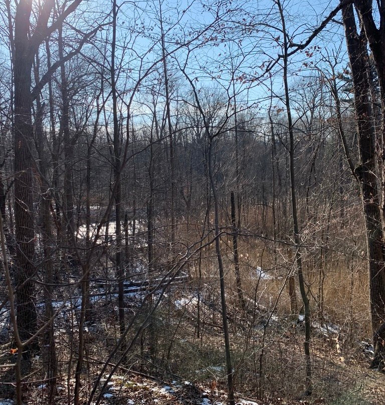 Turtle Creek Preserve-New Buffalo必去景点