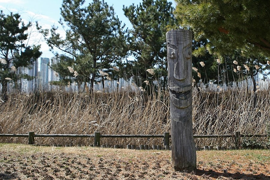 Sorae Ecology Park-仁川必去景点