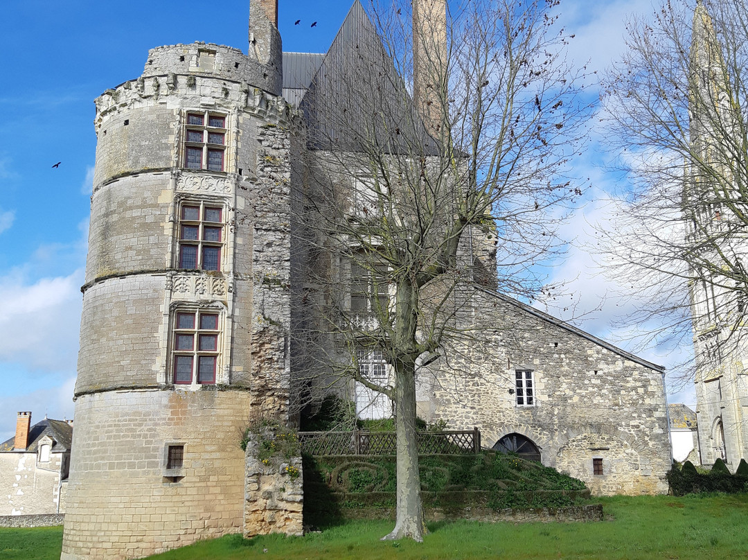 Chateau de Martigne Briand景点图片