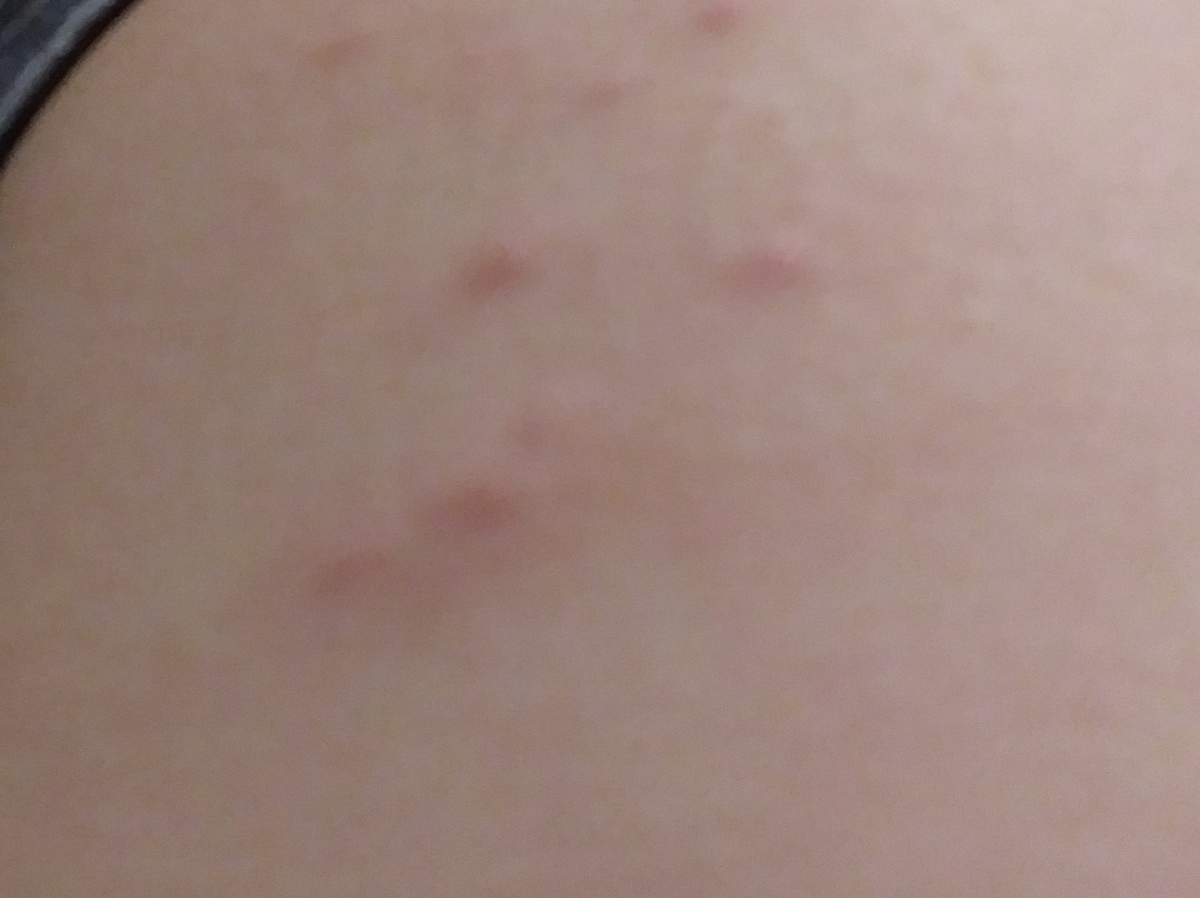 美国芝加哥长住酒店-莱尔主图