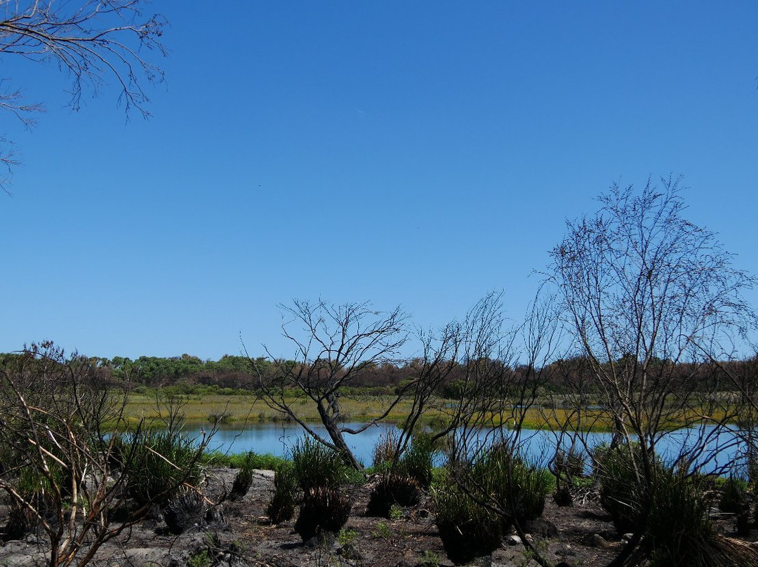 2024年12月Yanchep National Park景点攻略Yanchep National Park门票预订地址图片Yanchep National Park景点点评猫途鹰
