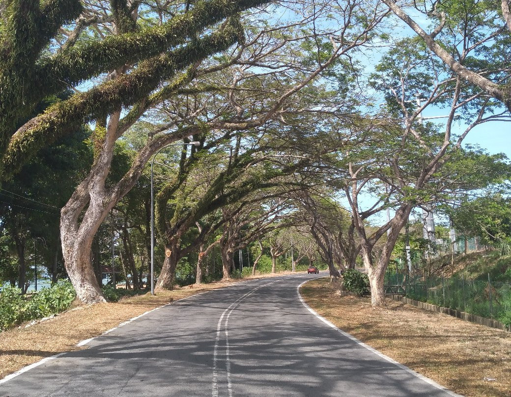 Pilly Holiday Home主图