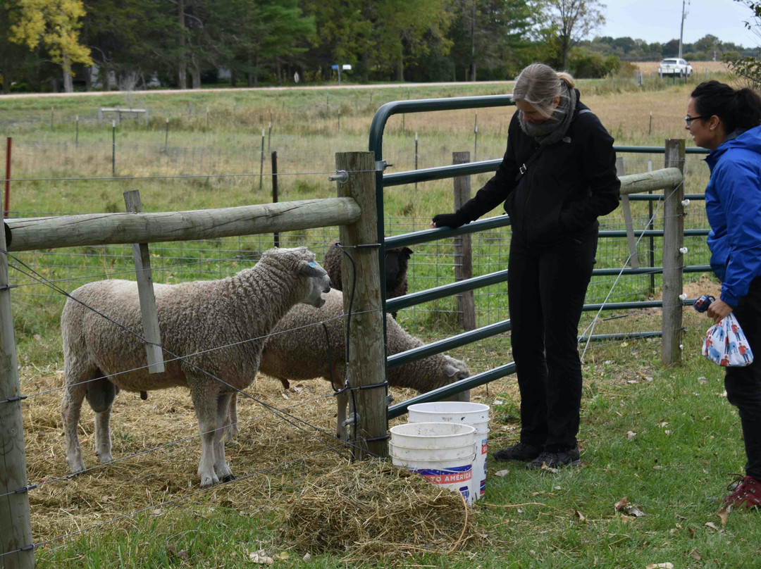 Sutton Ridge Farm-Jordan必去景点