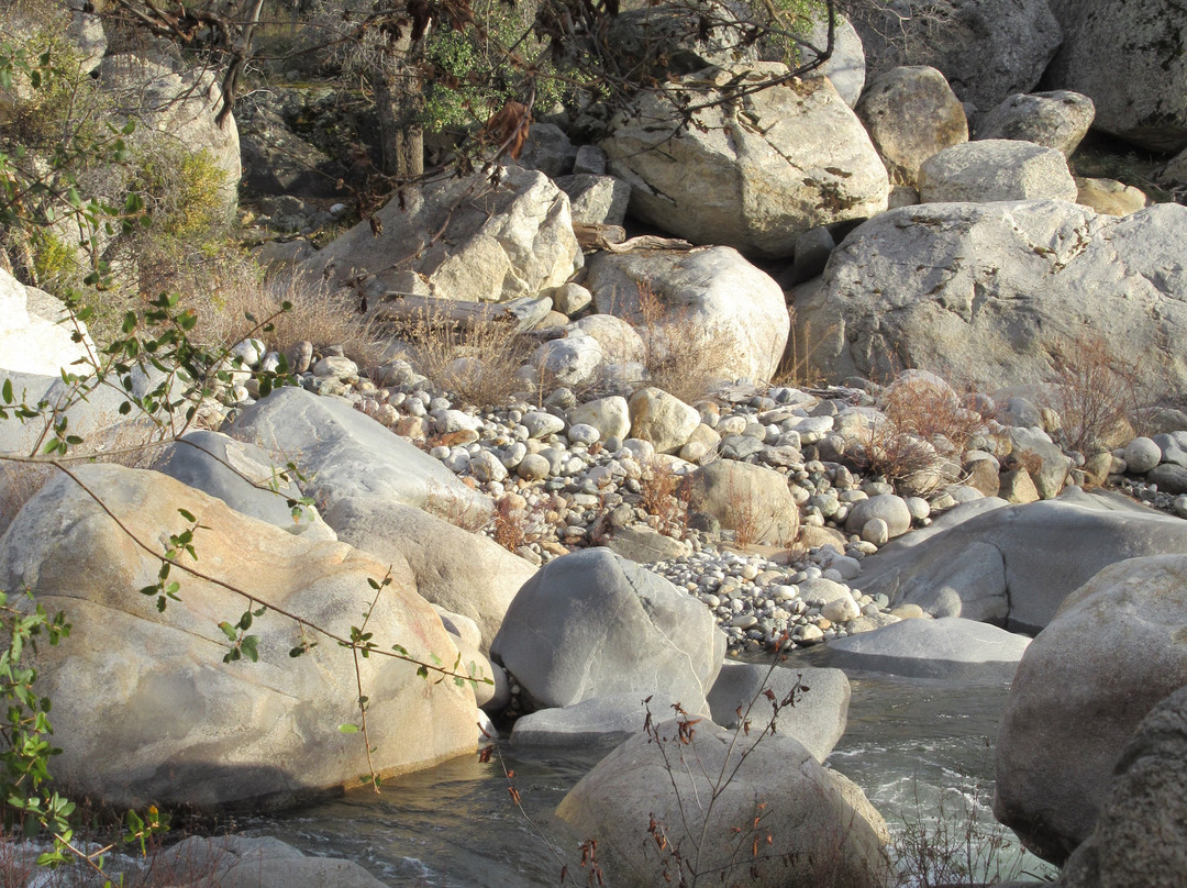 Buckeye Tree Lodge & Cabins主图