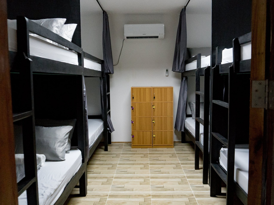 Crazy Bears Hostel主图