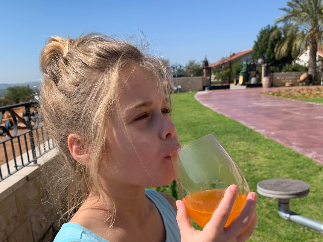 Gravity Winery-Hosha‘ya必去景点