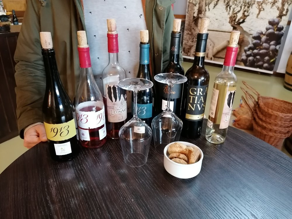 Bodega Cosecheros de Olite-Olite必去景点