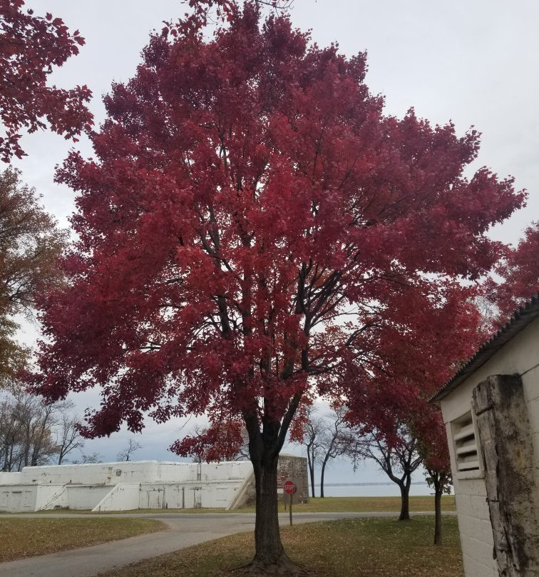 Fort Smallwood Park-Pasadena必去景点