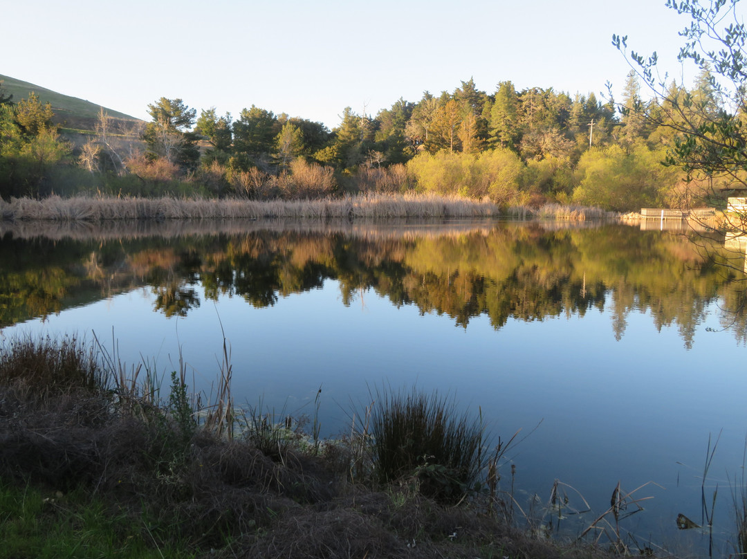 Russian Ridge Open Space Preserve-雷德伍德城必去景点