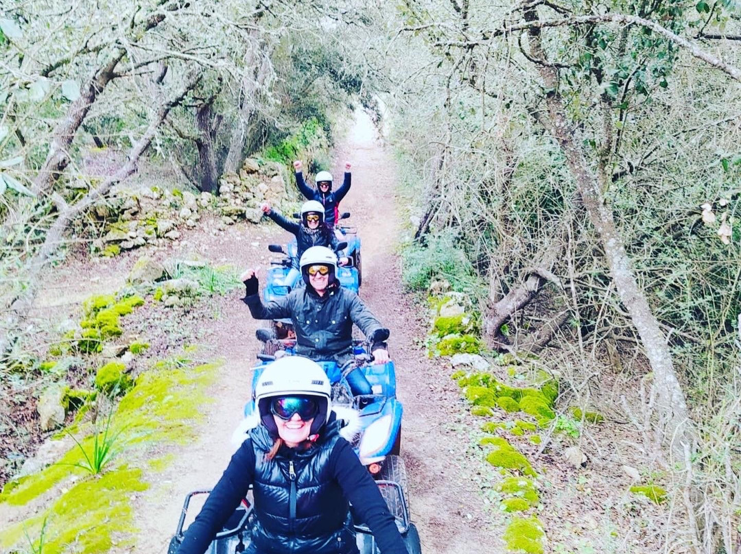 Quads & Mini Bikes Mallorca景点图片