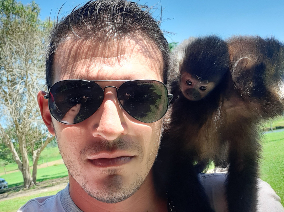 Morro dos Macacos-Passo de Torres必去景点