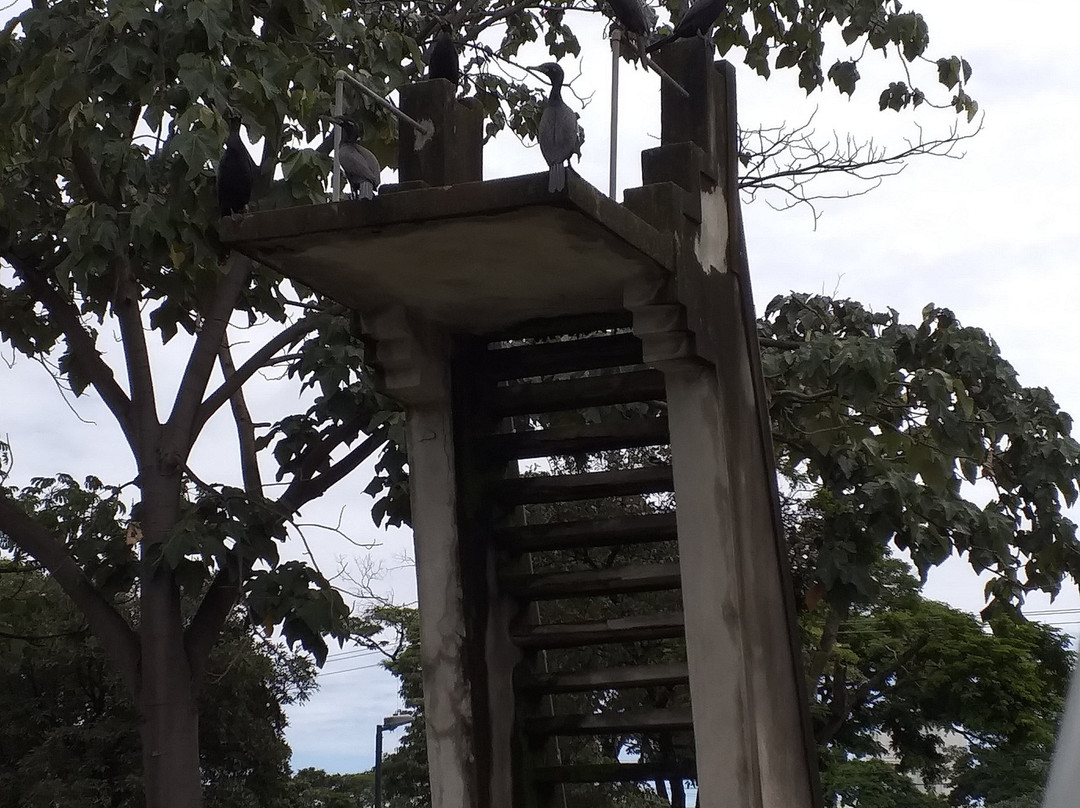 Lago das Rosas-戈亚尼亚必去景点