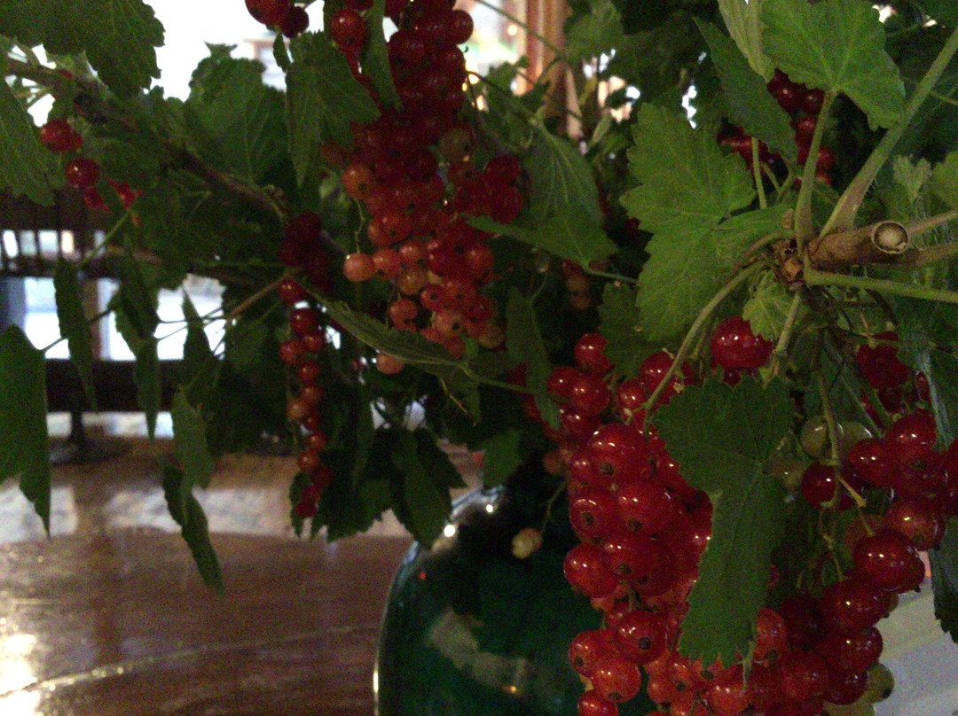 Omotenashi No Yado Obonai主图