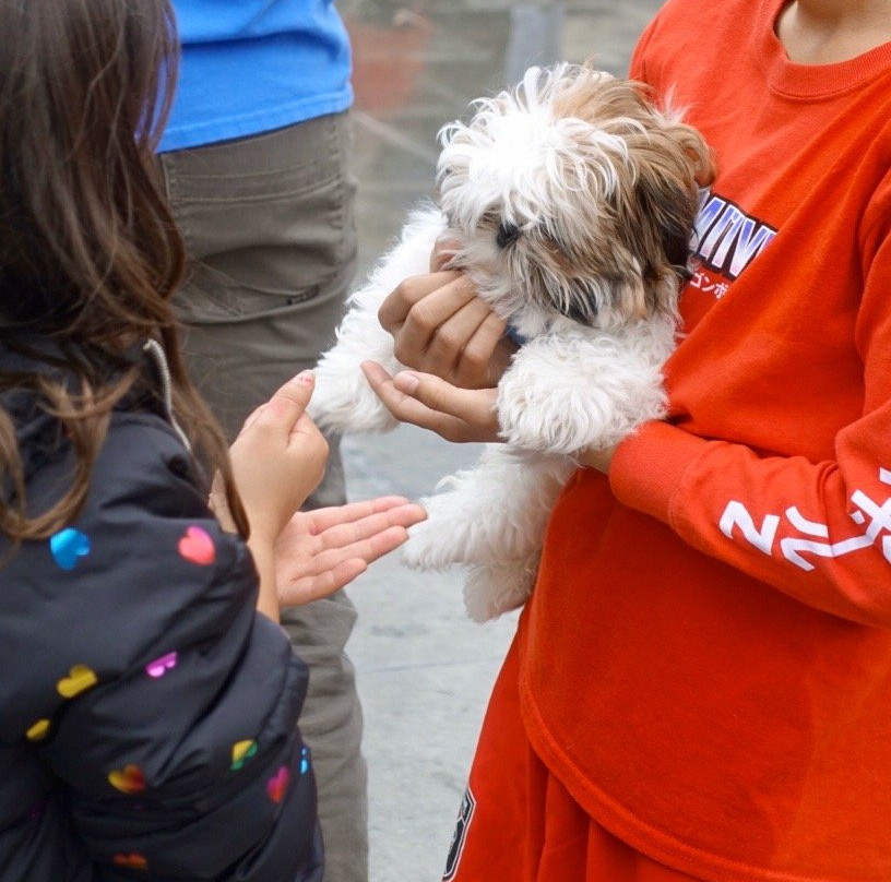 Pearl Markets - San Antonio, TX-圣安东尼奥市必去景点