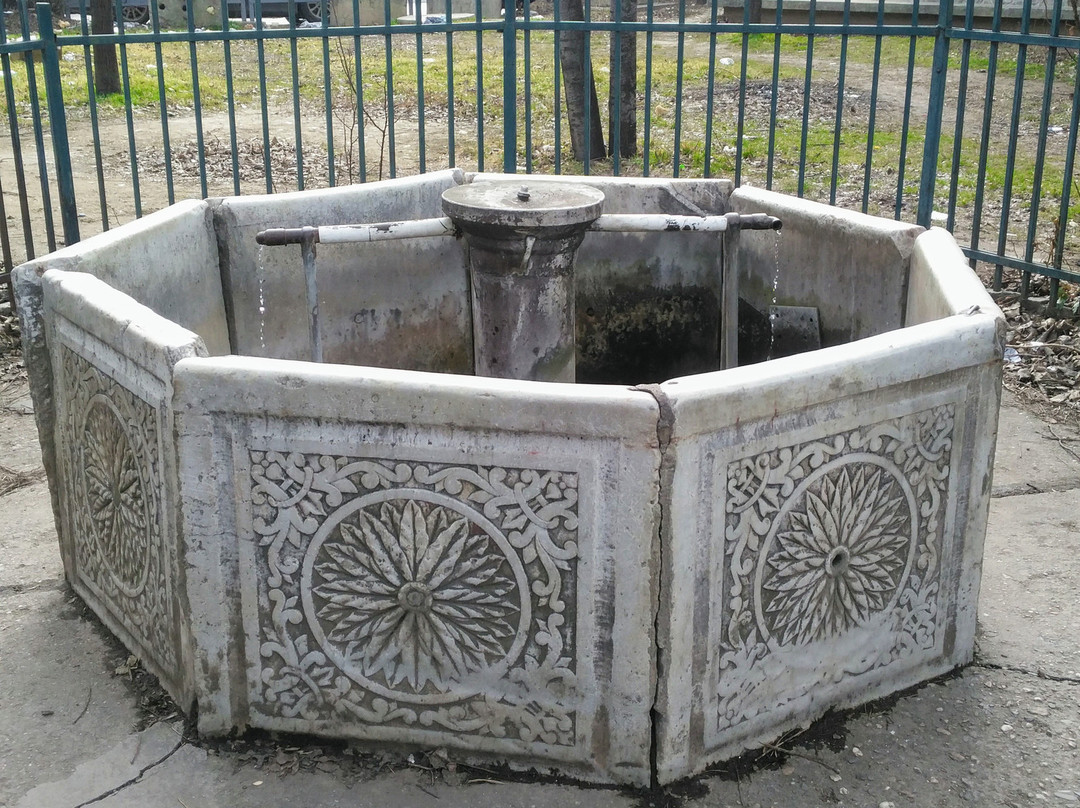 Shadervani Fountain-普里什蒂纳必去景点