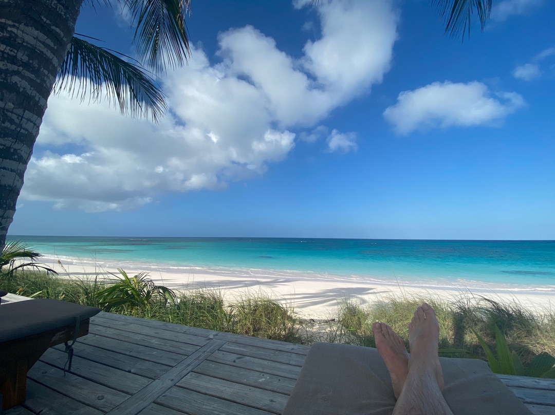 La Bougainvillea主图