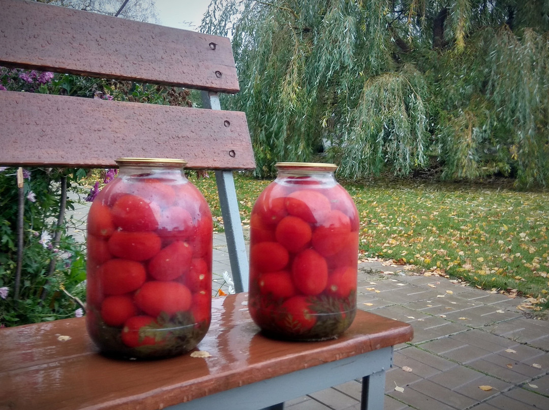 Novozavidovskiy旅游攻略图片