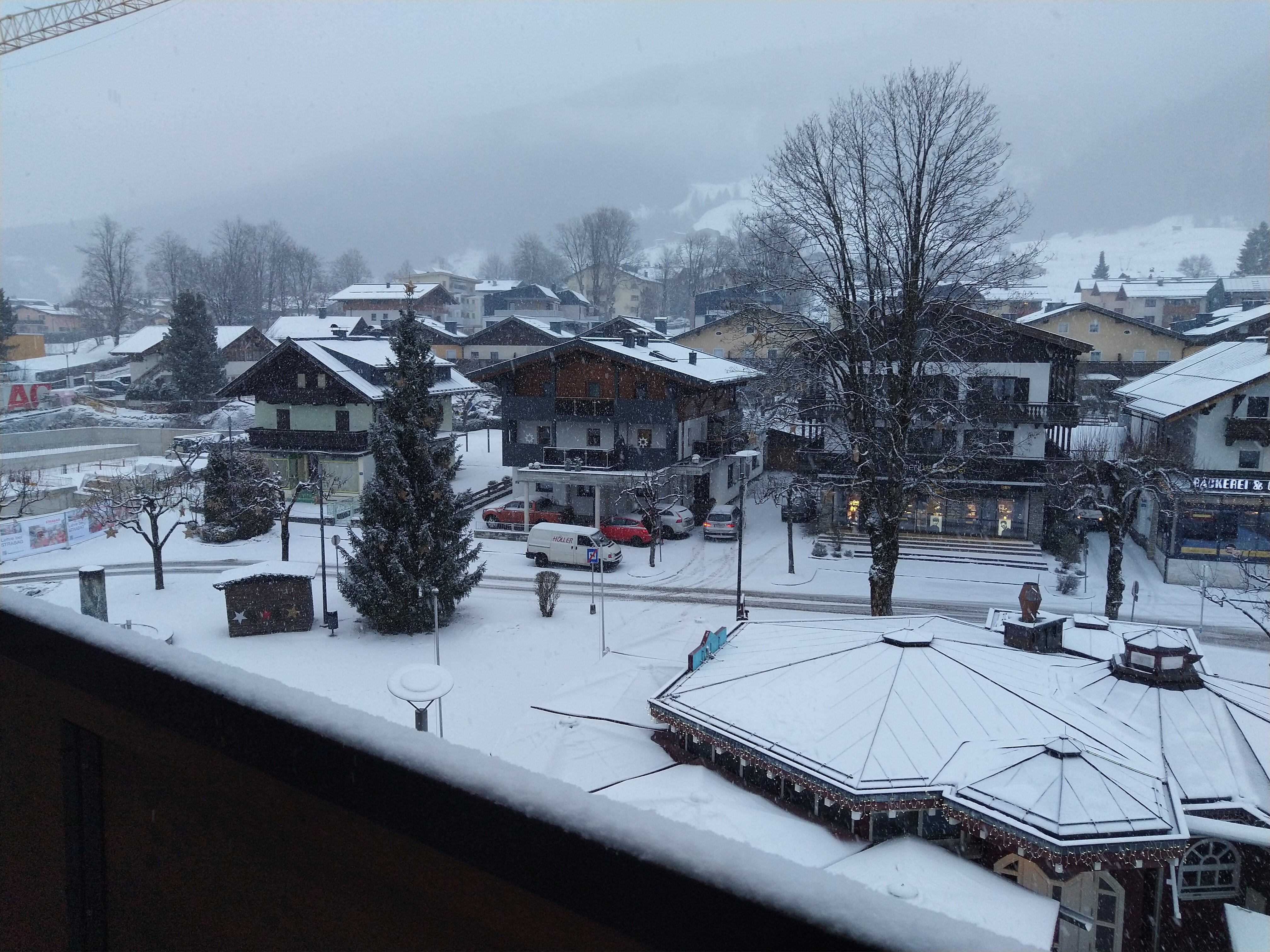 LEDERER's LIVING-酒店景观